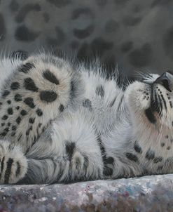 Snow Leopard Reclining