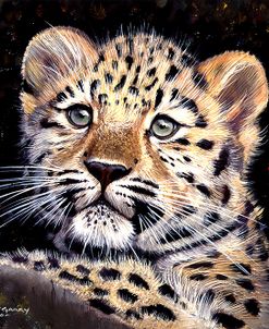 Amur Leopard Cub