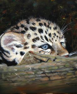 Peekaboo Amur Leopard Cub