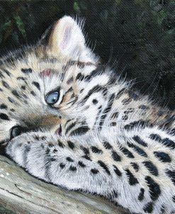 Amur Leopard Cub