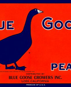 Blue Goose Pears