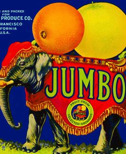 Jumbo Orange and Grapefruit