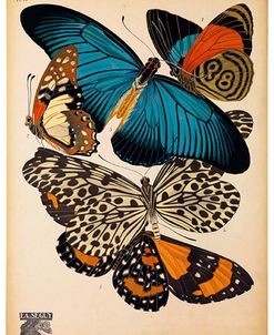 Butterflies Plate 2, E.A. Seguy