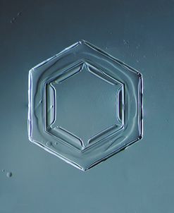 Hexagonal Plate Snowflake 003.2.2014