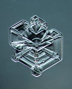 Hexagonal Plate Snowflake 003.2.9.2014.1