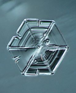 Hexagonal Plate Snowflake 002.2.14.2014