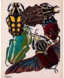 Insects, Plate 3 by E.A. Seguy