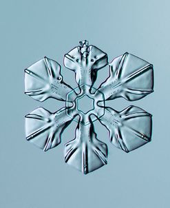 Sectored Plate Snowflake 001.3.02.2014