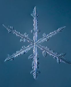 Simple Star Snowflake 002.2.16