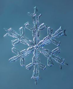 Stellar Dendrite Snowflake 001.2.16.2014