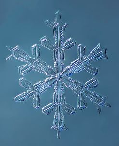 Stellar Dendrite Snowflake 001.2.16.2014