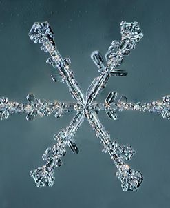 Stellar Dendrite Snowflake 004.2.14.2014