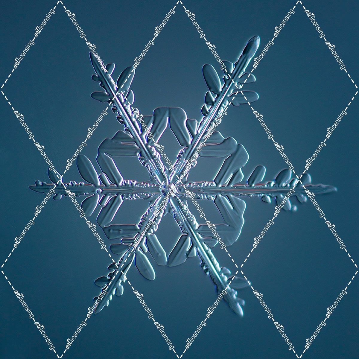 Stellar Dendrite Snowflake 005.2.16.2014