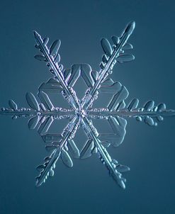 Stellar Dendrite Snowflake 005.2.16.2014