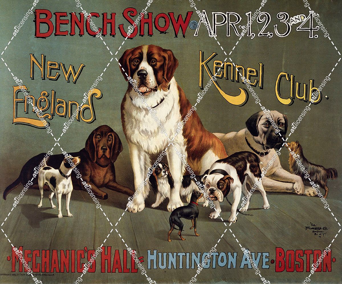 Bench Show. New England Kennel Club