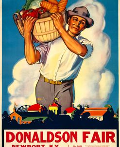 Donaldson State Fair Poster