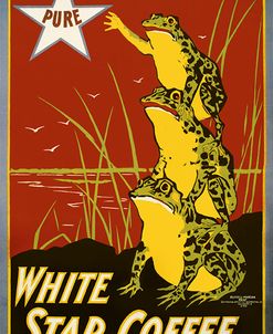 Pure White Star Coffee, Frogs