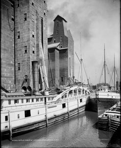 An Old Timer at C.T.T. Grain Elevator, Buffalo, N.Y.