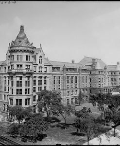 American Museum of Natural History, New York, N.Y.