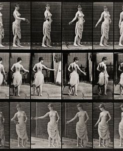 Animal Locomotion, Partially Nude Woman walking and turning