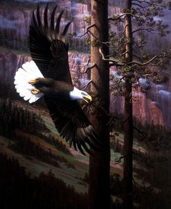 The Master Of Freedom