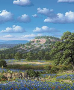 Blue Bonnet Hill