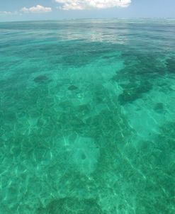 Catrell Key Vertical