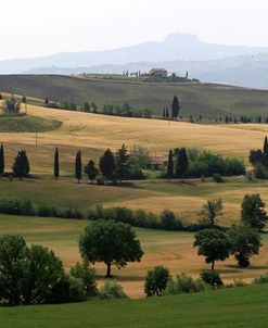 Tuscan Hillside 1
