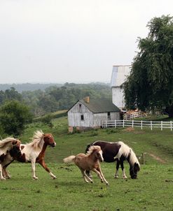 Winesberg Ohio