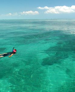 Snorkeler