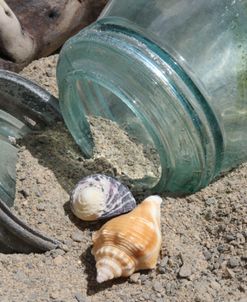 Two Shells Mason Jar