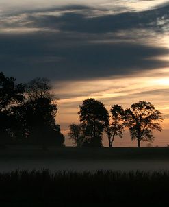 Grey Dawn Wetland