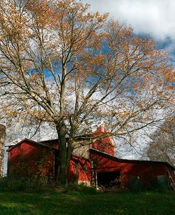 Early Spring Tree Barn