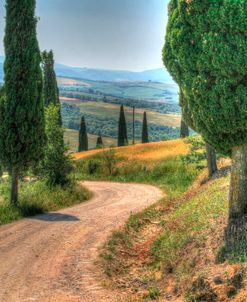 Tuscan Footpath 0392