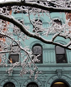 Snowstorm Brownstones Branches