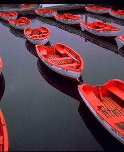 City Island Red Row Boats
