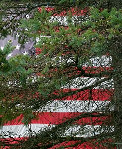 Pine Flag Barn