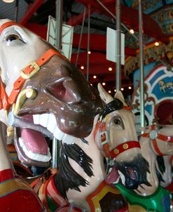 Central Park Carousel