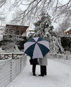 Central Park Couple In The Snow