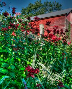 Barn And Minarda 3