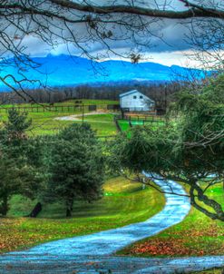 BC Driveway View