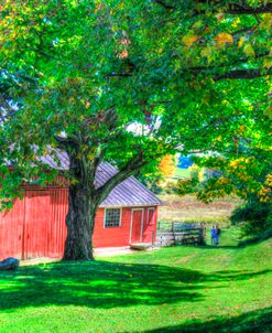 Barn And Family