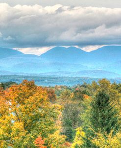 Blue Catskills And Hawk