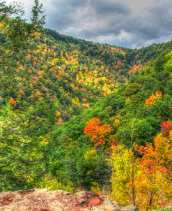 Catskills Hollow