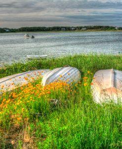 CC Boats And Bulkhead