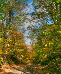 Dirt Road Passage