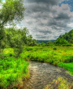 Dutchess County Stream And Meadow