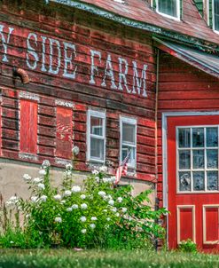 Farm Lettering 1