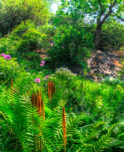 Garden Hillside