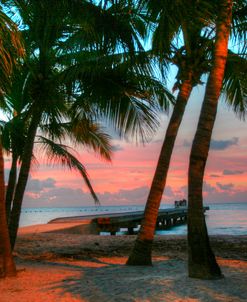 Key West Sunrise V